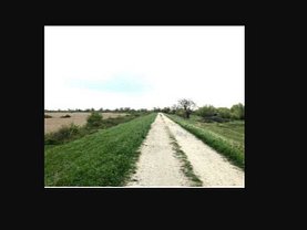 Teren agricol de vânzare în Mosnita Noua