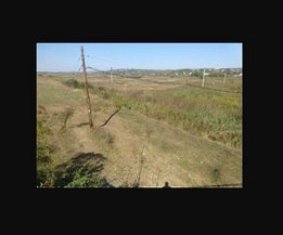 Licitaţie teren  agricol, în Vaslui, zona Exterior Sud