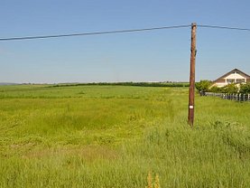 Teren agricol de vânzare, în Curtesti