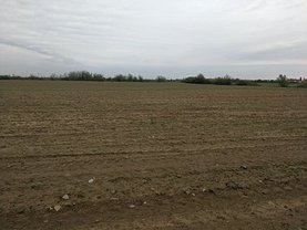 Teren agricol de vânzare, în Timişoara, zona Ronaţ