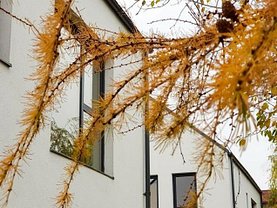 Casa de vânzare 5 camere, în Popesti-Leordeni, zona Central
