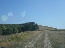 Teren padure de vânzare, în Truşeşti