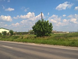Teren agricol de vânzare în Alexandria, Exterior Est