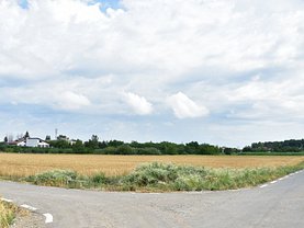 Teren agricol de vânzare, în Ciolpani