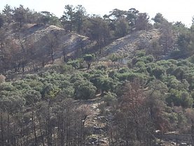 Teren constructii de vânzare, în Buzau, zona Vest