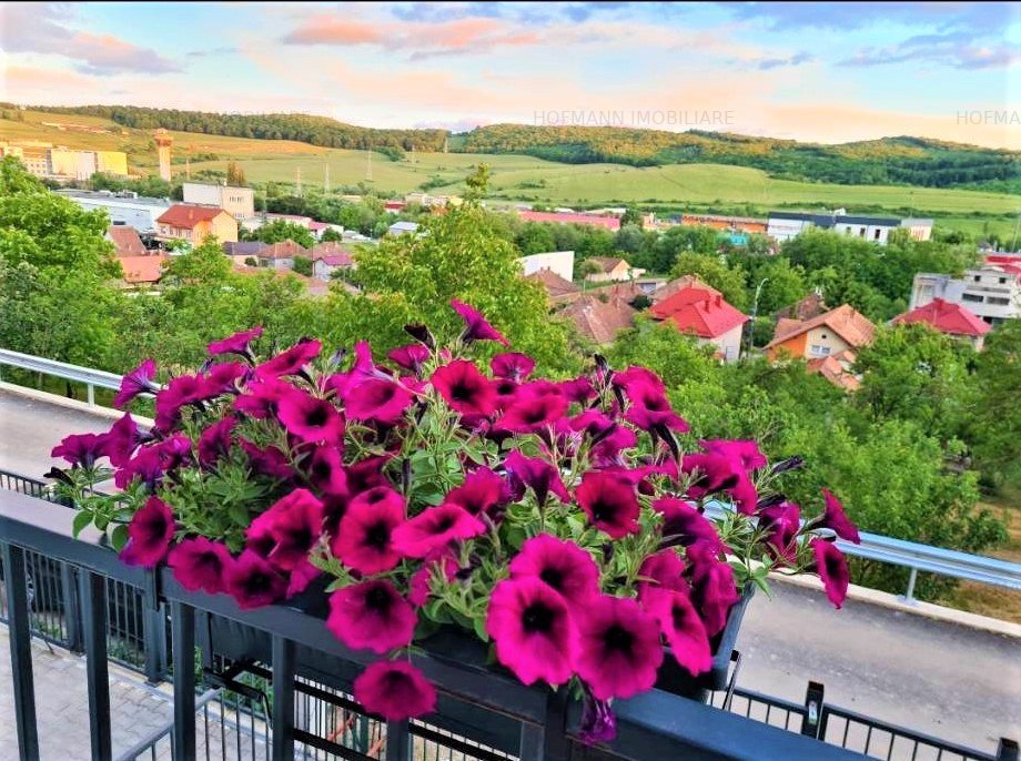 CASA FRUMOASA SI PRIMITOARE - ZONA PETROM-BACIU