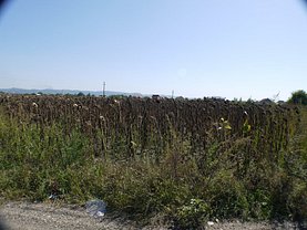 Teren constructii de vânzare, în Bacău, zona Şerbăneşti