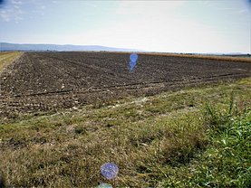 Teren agricol de vânzare, în Nicolae Bălcescu