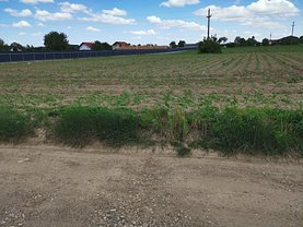 Teren construcţii de vânzare în Bacau, Serbanesti