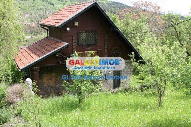 Vanzare casa de vacanta, Pietrosita, Dambovita