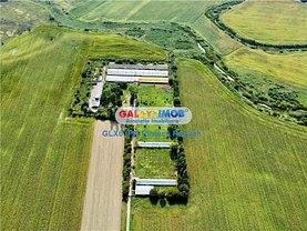 Vânzare ferma în Gorgota, Central