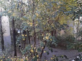 Garsonieră de vânzare sau de închiriat, în Bucuresti, zona Tei