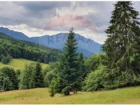 Teren padure de vânzare, în Dălghiu