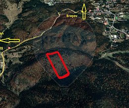 Teren padure de vânzare, în Poiana Braşov