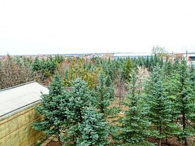 Vânzare spaţiu industrial în Snagov