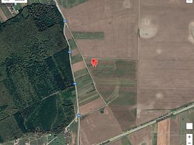 Teren constructii de vânzare, în Brăneşti