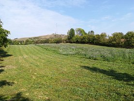 Teren agricol de vânzare în Aiton