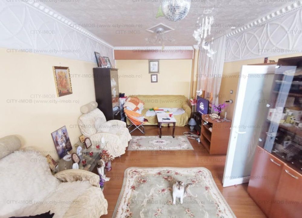 Vanzare casa Andronache