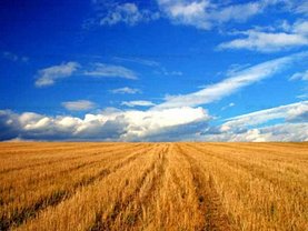 Teren agricol de vânzare, în Fundulea, zona Central