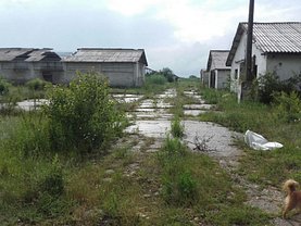 Teren constructii de vânzare, în Maldaeni