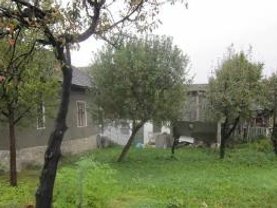 Casa în Fieni, Central