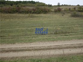 Teren agricol de vânzare, în Floreşti