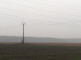 Teren agricol de vânzare, în Tancabesti
