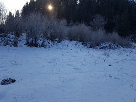 Teren agricol de vânzare, în Vatra Dornei