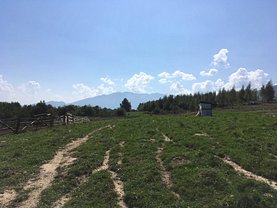 Teren construcţii de vânzare în Bran