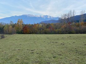 Teren constructii de vânzare sau de închiriat, în Poiana Braşov
