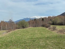 Teren constructii de vanzare, în Bran