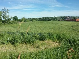 Licitaţie teren agricol, în Domnesti