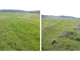 Teren agricol de vânzare în Sebes, Periferie
