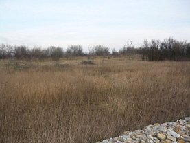 Teren agricol de vânzare în Oradea, Nord-Vest