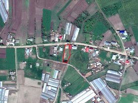 Licitaţie teren agricol, în Targu Frumos