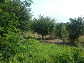 Teren agricol de vânzare, în Feteşti, zona Central