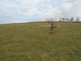Teren construcţii de vânzare în Bistrita, Periferie