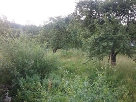 Teren constructii de vânzare, în Sangeorz-Bai, zona Sud-Vest