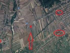 Teren agricol de vânzare în Tamasesti