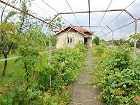 Casa de vânzare 3 camere, în Piteşti, zona Craiovei
