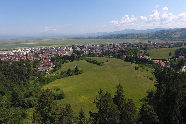 Rank Inconvenience Pensive Terenuri agricole de vânzare Săcele - Braşov - Anunturi Imobiliare.ro