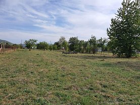 Teren agricol de vânzare, în Vălenii de Munte, zona Vest