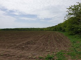 Teren constructii de vânzare, în Dascalu