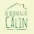 Catalin Ioachim Catalin Ioachim