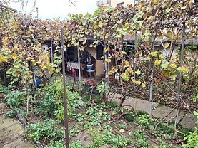 Teren constructii de vânzare, în Bucureşti, zona Dămăroaia