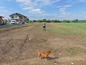 Teren constructii de vânzare, în Dragomiresti-Vale