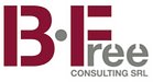 B FREE CONSULTING