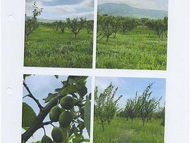 Teren agricol de vânzare, în Ploiesti, zona Central