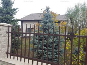 Casa de vânzare 4 camere, în Branesti