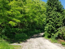 Teren constructii de vânzare, în Deva, zona Caprioara